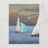 RS200と蛍の小魚 ポストカード (正面)