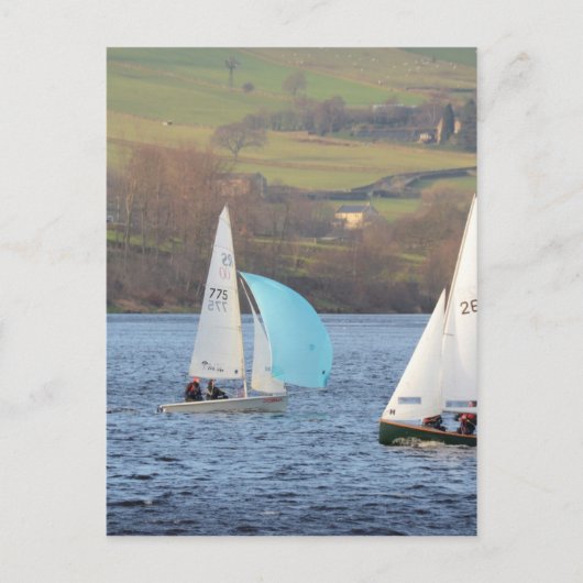 RS200と蛍の小魚 ポストカード (正面)