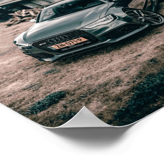 rs6beastポスター ポスター (角)