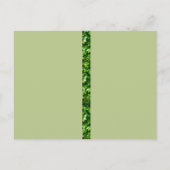 RSVPイベント及び結婚式招待状葉書 インビテーションポストカード (裏面)