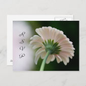 RSVPポストカード インビテーションポストカード (正面/裏面)