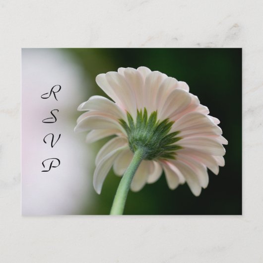 RSVPポストカード インビテーションポストカード (正面)