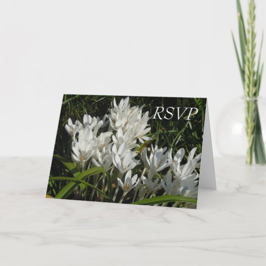 RSVP招待状 招待状 (正面)