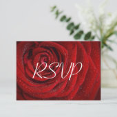 RSVP エレガント Red Roseフローラ結婚ズ (スタンド正面)