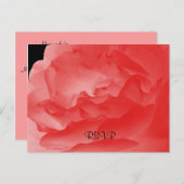 RSVP、コーラルピエレガントックローズローズフローラ インビテーションポストカード (正面/裏面)