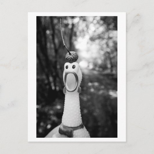 Rubber Chicken with Acorn Hat ポストカード (正面)