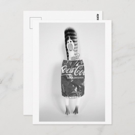 Rubber chicken with soda can dress - Coq à Cola ポストカード (正面/裏面)