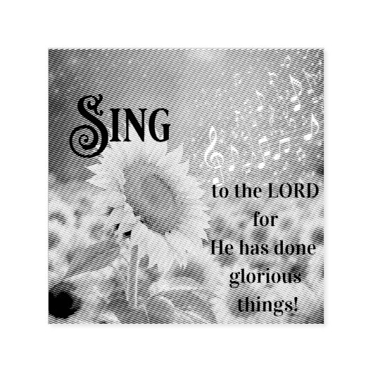 Rubber Stamp セルフインキングスタンプ (デザイン)