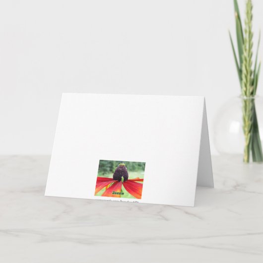 Rubeckia、さようなら カード (裏面)