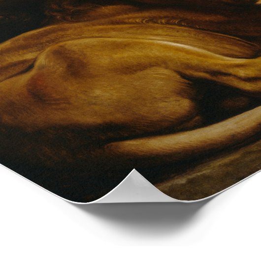 Rubens - Daniel In Lions' Den ポスター (角)