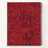 Rubí Ardiente ノートブック (裏面)