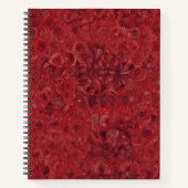 Rubí Ardiente ノートブック (正面)