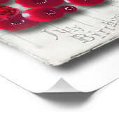 rubyでのobject_4_variations フォトプリント            (角)