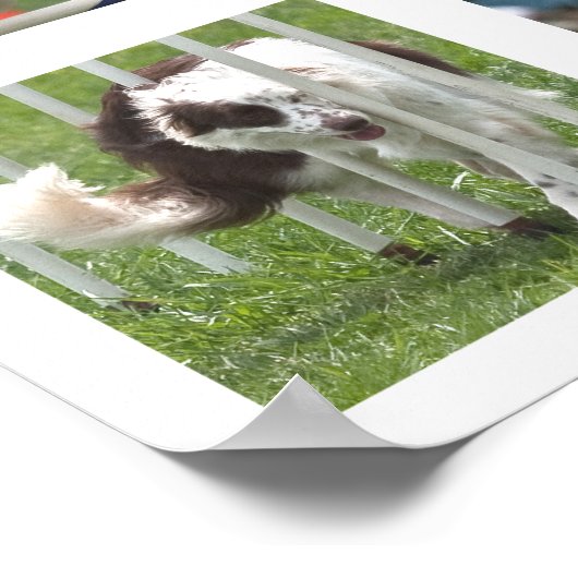 Rubyアジリティポスター ポスター (角)