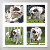 Rubyアジリティポスター ポスター (正面)