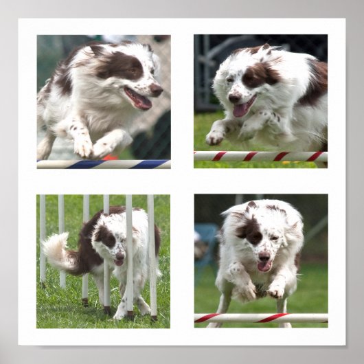 Rubyアジリティポスター ポスター (正面)