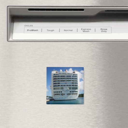 Rubyスターンビュー マグネット (インサイチュ (食洗機))