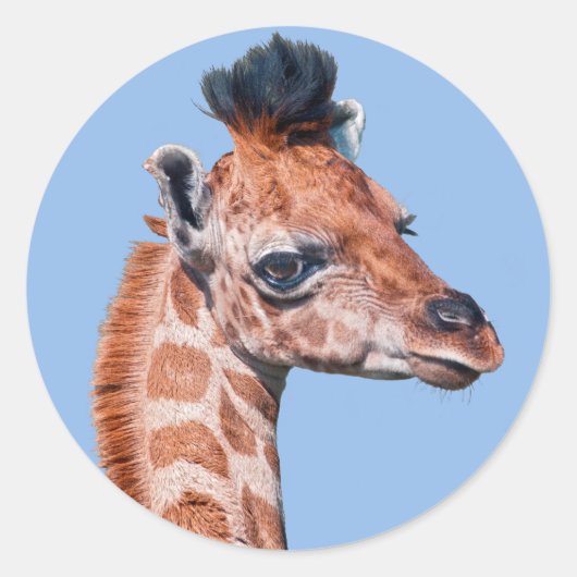 Rubyステッカー ラウンドシール (正面)