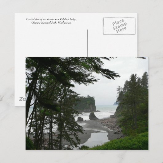 Rubyビーチはがき ポストカード (正面/裏面)