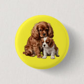 Ruby Cavalier Spaniel and her Blenheim puppy 缶バッジ (正面)