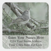 Ruby-Crown Kinglet返信用アドレスラベル スクエアシール (正面)