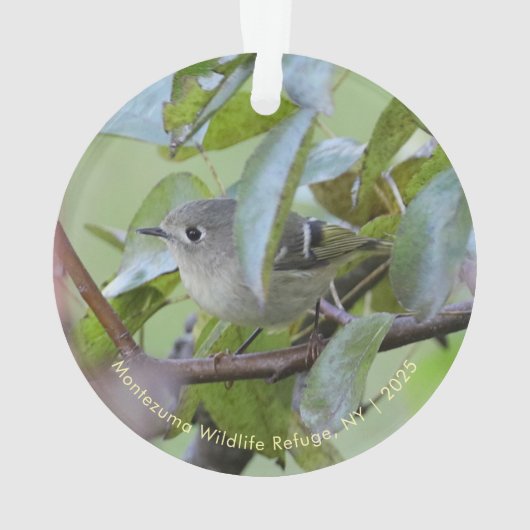 Ruby-crowned Kinglet Bird Ornament with Place Year オーナメント (裏面)
