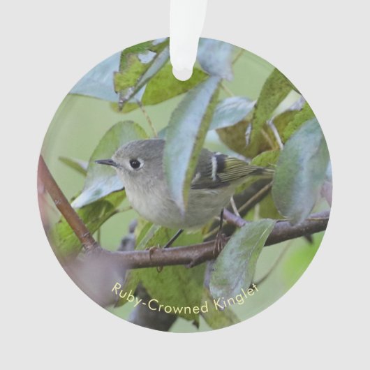 Ruby-crowned Kinglet Bird Ornament with Place Year オーナメント (正面)