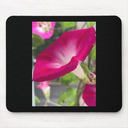 Ruby Red Morning Glory Mousepad マウスパッド (正面)