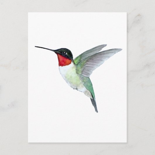 Ruby-throated Hummingbird ポストカード (正面)