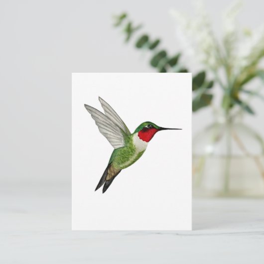 Ruby-throated Hummingbird ポストカード (スタンド正面)