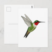 Ruby-throated Hummingbird ポストカード (正面/裏面)