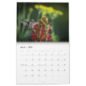 Ruby Throated Hummingbird 2026  Calendar カレンダー (3月 2027)