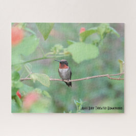 Ruby Throated Hummingbird, bird lover's ジグソーパズル