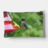 Ruby-Throated Hummingbird Bird Photography アクセサリーポーチ (裏面)