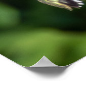 Ruby-Throated Hummingbird Fine Art Photography  ポスター (角)