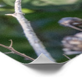 Ruby-Throated Hummingbird Fine Art Photography  ポスター (角)