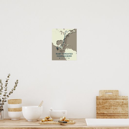 Ruby-throated Hummingbird Migration Map ポスター (キッチン)