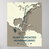 Ruby-throated Hummingbird Migration Map ポスター (正面)