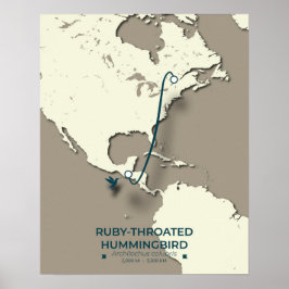 Ruby-throated Hummingbird Migration Map  ポスター
