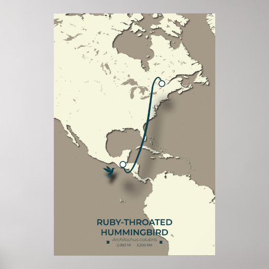 Ruby-throated Hummingbird Migration Map – Minimali ポスター (正面)