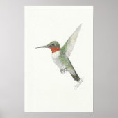 Ruby-Throated Hummingbird Poster ポスター (正面)