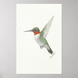 Ruby-Throated Hummingbird Poster ポスター