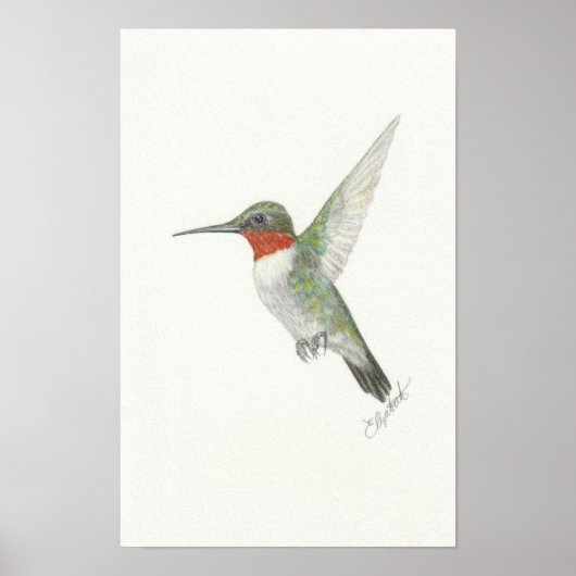 Ruby-Throated Hummingbird Poster ポスター (正面)