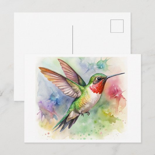 Ruby-throued Hummingbird at rest水彩色 ポストカード (正面/裏面)