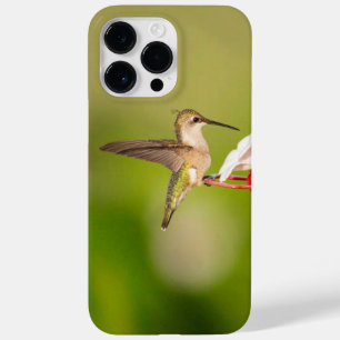 Ruby-Throued Hummingbird IPhoneケース#108A0605 Case-Mate iPhone 14 Pro Maxケース