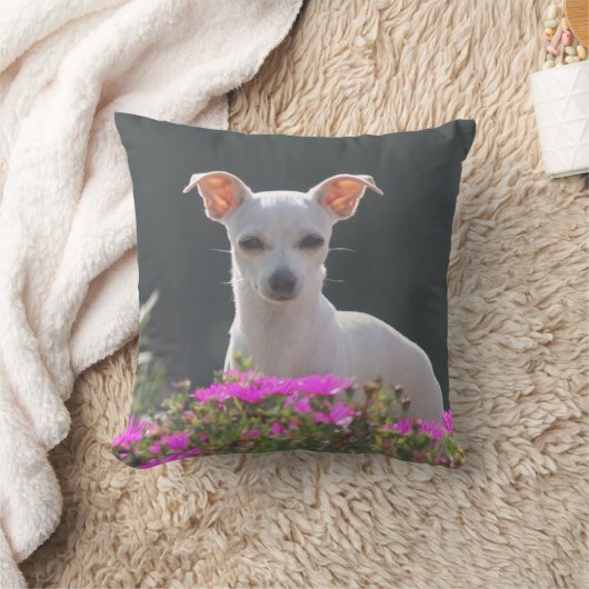 Ruca クッション (ブランケット)