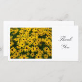 Rudbeckia Hirta (黒い目のサザンズ) – ありがとう サンキューカード (正面/裏面)