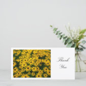 Rudbeckia Hirta (黒い目のサザンズ) – ありがとう サンキューカード (スタンド正面)