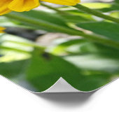 "Rudbeckia Rising" ポスター (角)