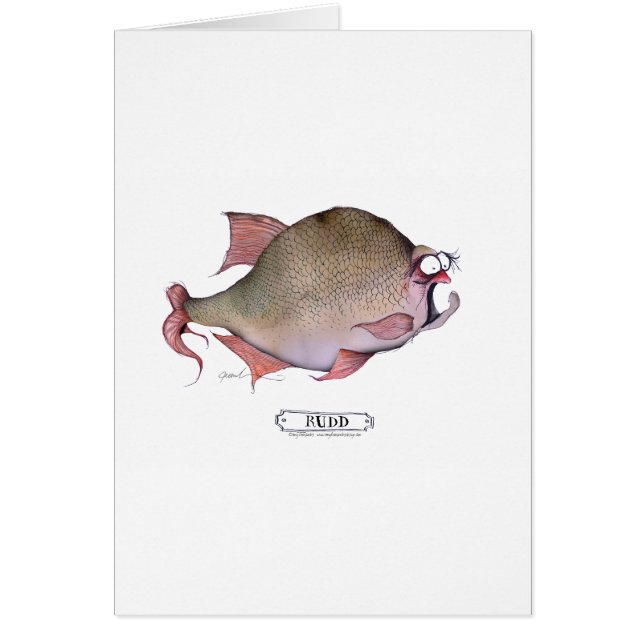 Ruddの魚、贅沢なfernandes (正面)